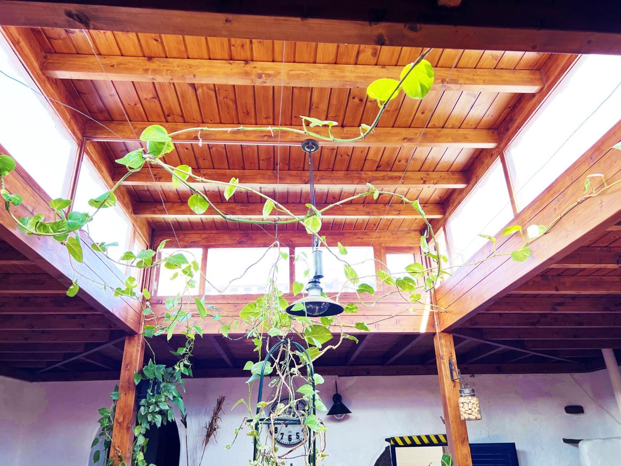 Willa Casa Rural Estilo Canario San Bartolomé Zewnętrze zdjęcie